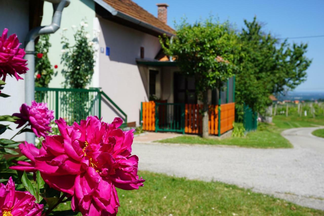 Holiday Home Maderka Strigova Buitenkant foto