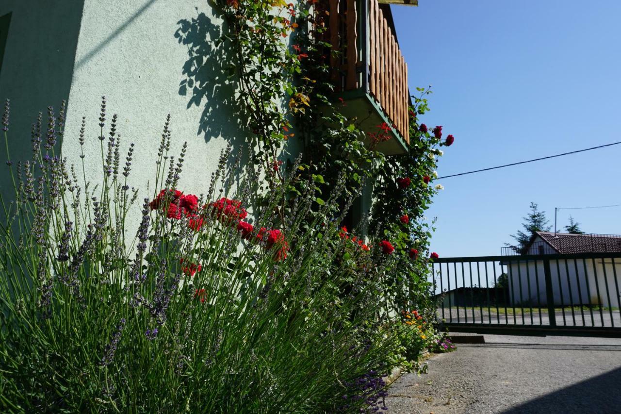 Holiday Home Maderka Strigova Buitenkant foto