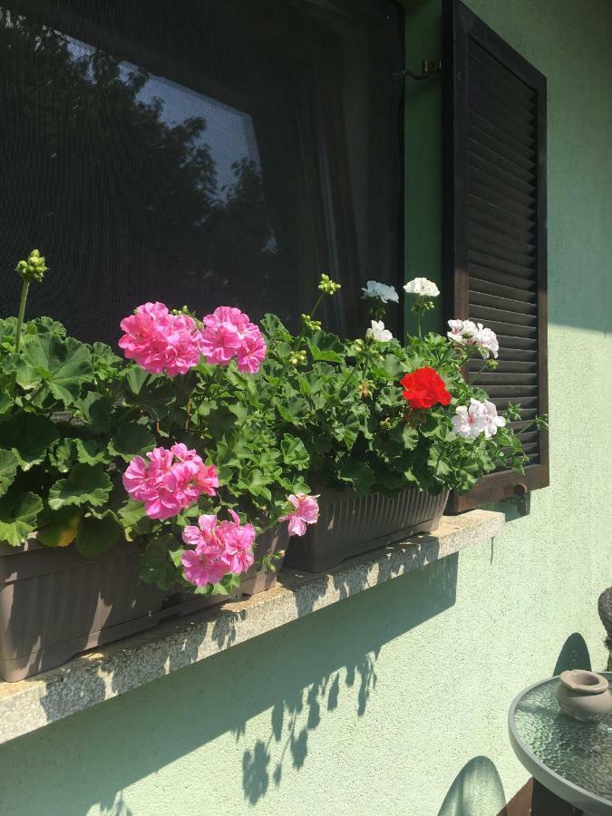 Holiday Home Maderka Strigova Buitenkant foto
